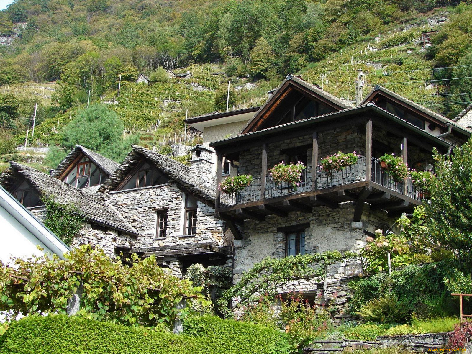 corippo, switzerland, , , 